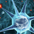 Tau Products for Neurodegenerative Disease Research